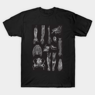 Vintage human anatomy pattern T-Shirt
